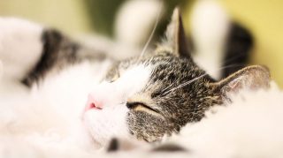 What can you do to sleep better?