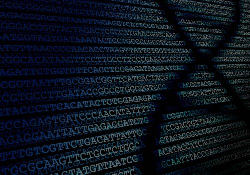 DNA (gene-based health plans)