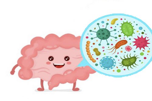 Do you know your friendly bacteria?