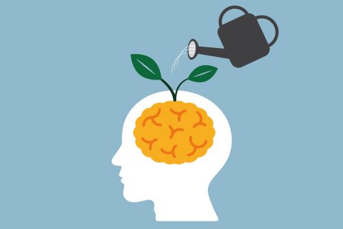 You can grow a new brain every day