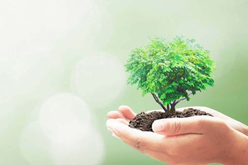 Why an integrated approach to mental health is important